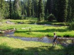 My wife Jan along Fall Creek in a beautiful meadow.